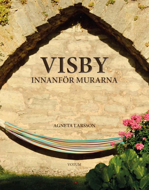 Visby Innanför Murarna (Bok)
