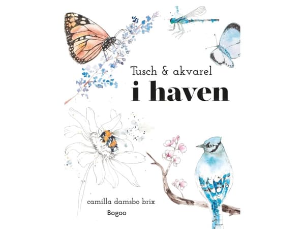 Tusch & akvarel i haven | Camilla Damsbo Brix