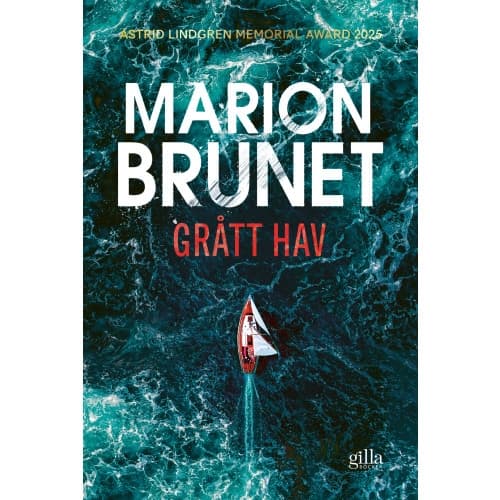 Grått hav (bok, flexband)