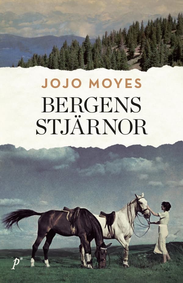 Bergens Stjärnor (Bok)