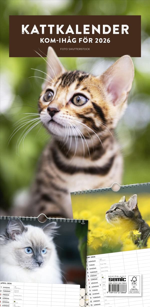 Kattkalender 2026 (Bok)