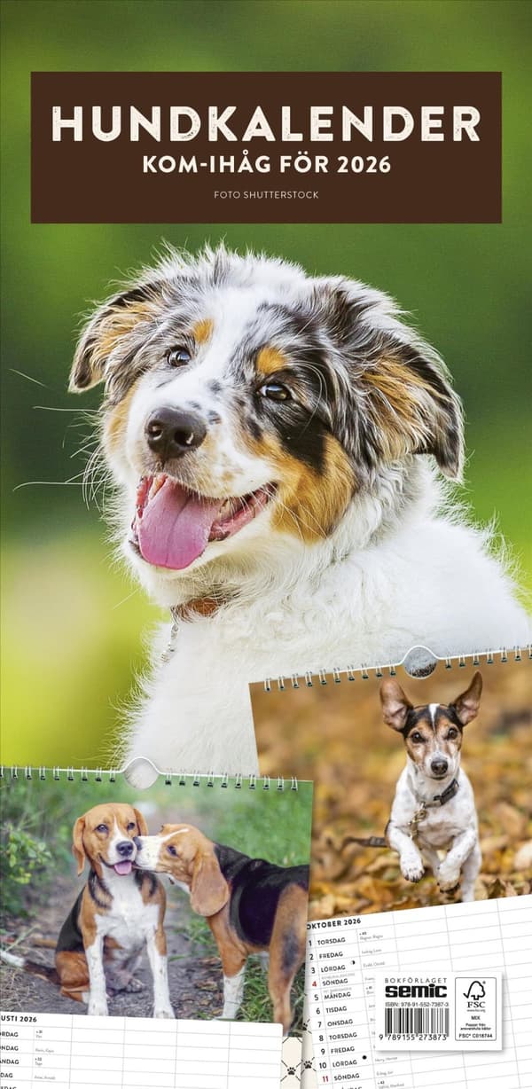 Hundkalender 2026 (Bok)