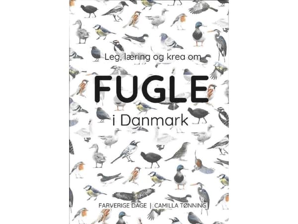 Leg, læring og krea om fugle i Danmark | Camilla Tønning