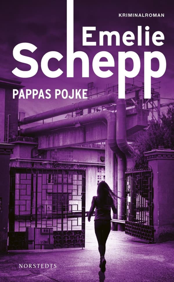 Pappas Pojke (Bok)