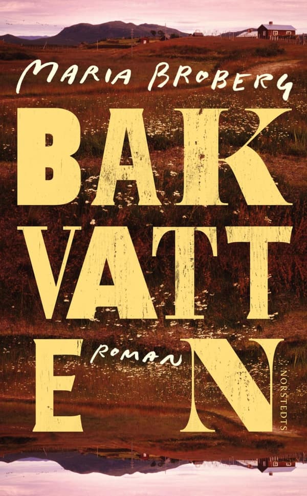 Bakvatten (Bok)