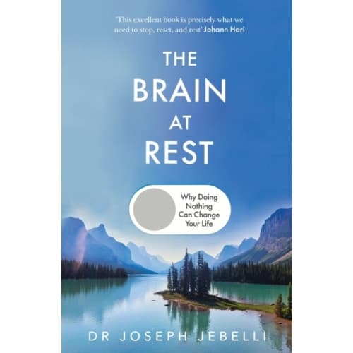 The Brain at Rest (häftad, eng)
