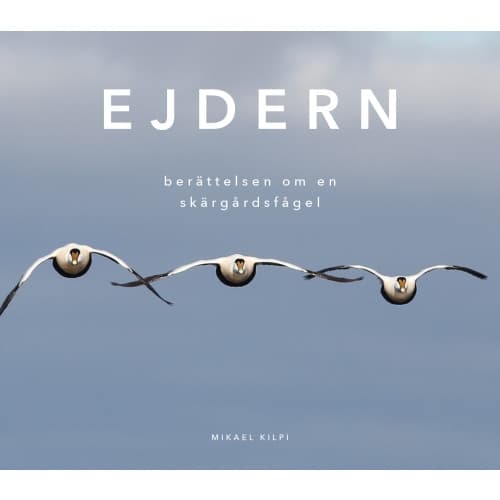 Ejdern - berättelsen om en skärgårdsfågel (inbunden)