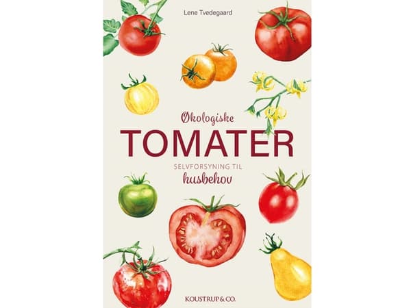 Økologiske Tomater | Lene Tvedegaard