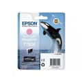 Miniatyrbild 3 av 3: Bläckpatron - EPSON - T7606 Viv Light MG - Svart - Kompatibel generisk produkt - Förpackning med 1 st