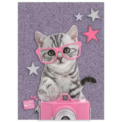 Błyszczący pamiętnik A6 Studio Pets PTG-3660 Paso