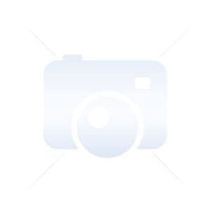 EPSON Epson Premium C13S042081 fotopapper - 609,60 mm x 30,50 m - Vikt: 235 g/m² - Glansigt - 1/Rull