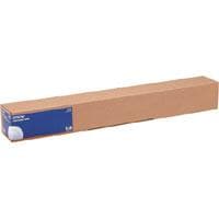 Epson - Wasserbeständige Leinwand, matta - 1 rulla (n) (C13S042014)