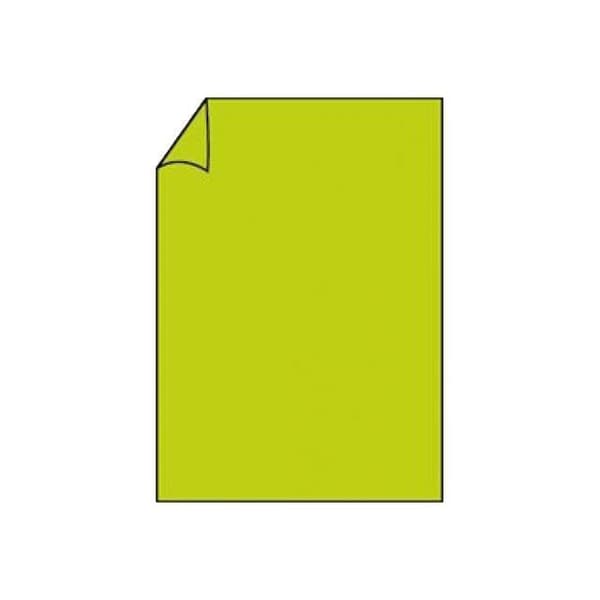 Rössler Paperado vanligt papper ljusgrön A4 (210 x 297 mm) 100 g-m² 10 ark