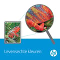 Pikkukuva 3 / 6: HP - Tulostin - Siirtosarja - Color LaserJet Enterprise CP5525, M750, MFP M775, LaserJet Managed MFP M775