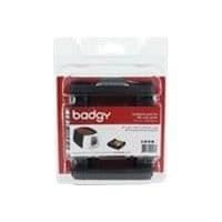 EVOLIS - Badgy 100 och 200 förbrukningsmaterial förpackning: 100 0,76 mm kort + 1 band 100 YMCKO färgutskrift