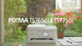 Miniatyrbillede 2 af 8: Canon PIXMA TS7650i - Alt-i-én printer