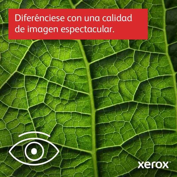 Xerox Versalink C410 Monitoimitulostin