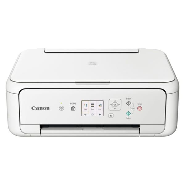 CANON PIXMA TS5151 3-i-1 vit bläckstråleskrivare - A4