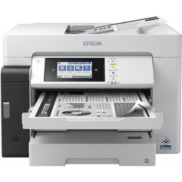 Monitoimitulostin Epson musta, Harmaa