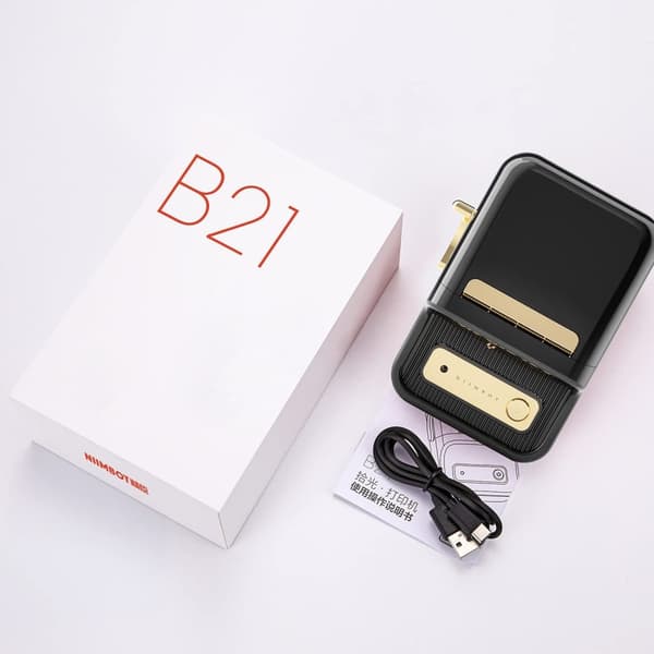 NIIMBOT B21 -lämpötulostin Bluetooth-tarrat, beige-kultaiset tarrat