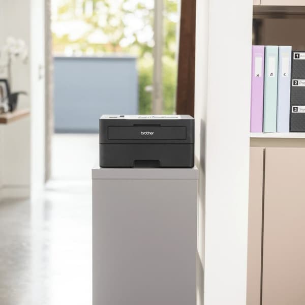 Laser Printer Brother HL-L2460DN