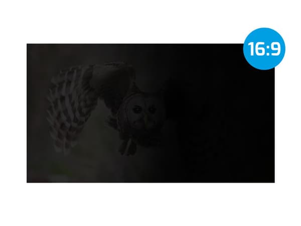NATEC Owl Frameless display privacy filter 39.6 cm (15.6")