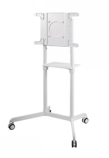 Neomounts Floor stand | NS-M1250WHITE TV trolley | Rotate, Tilt | 37-70 " | Maximum weight (capacity) 70 kg | White Hvid