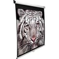 Miniatyrbilde 1 av 9: Elite Screens | Manual Screens | M150XWH2 | Diagonal 150 " | 16:9 | Viewable screen width (W) 332 cm | White