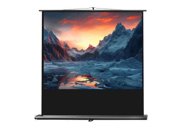 celexon ultramobil Professional projektorduk 200 x 150 cm Svart, Vit