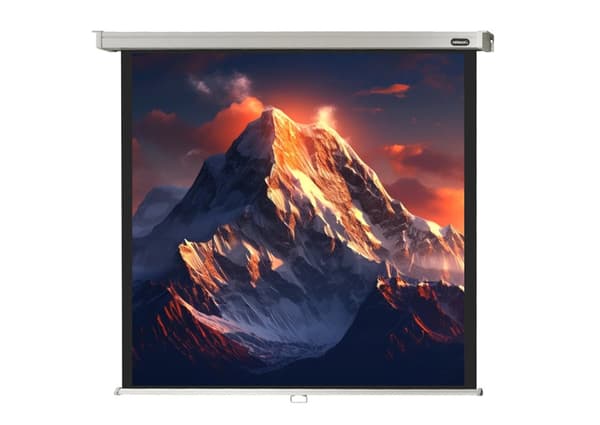 celexon manuell projektorduk Professional 160 x 160 cm, 86" Svart, Vit