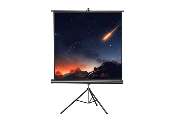 celexon stativbunden projektorduk Economy 184 x 184 cm