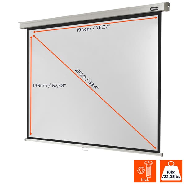 celexon manuell projektorduk Professional 200 x 150 cm, 96"
