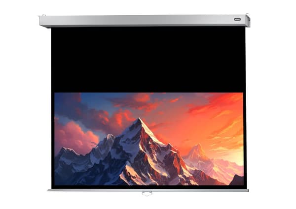 celexon manuell projektorduk Professional Plus 280 x 175 cm, 130"