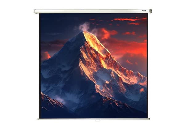 celexon manuell projektorduk Economy 120 x 120 cm, 67"