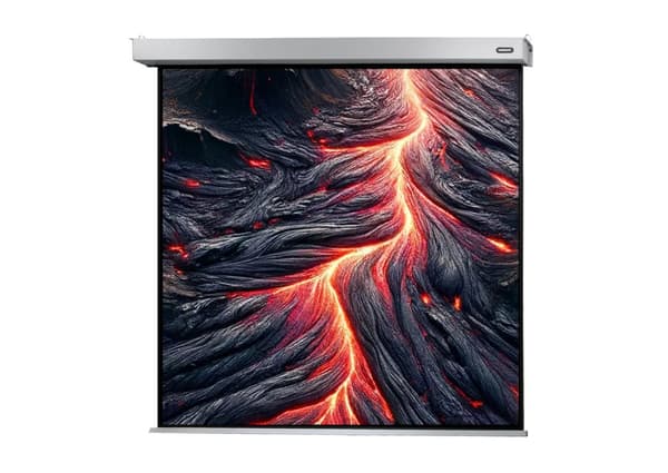 celexon projektorduk motordriven Professional Plus 120 x 120 cm