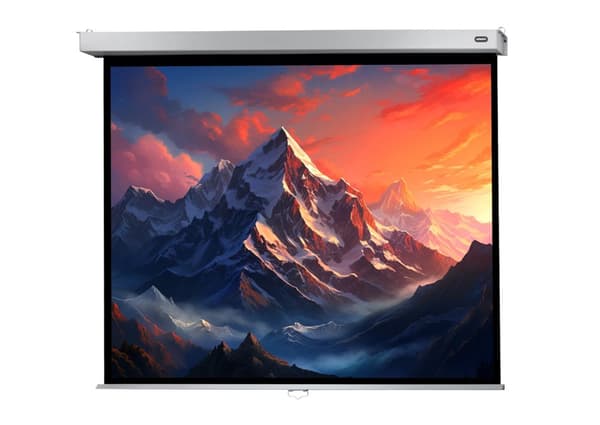 celexon manuell projektorduk Professional Plus 240 x 180 cm, 118"