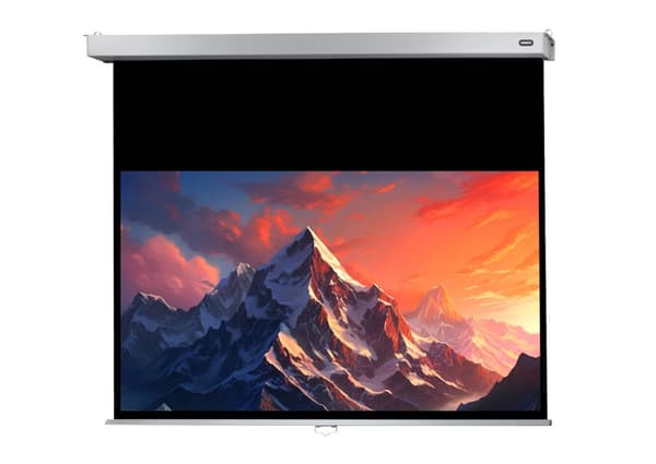 celexon manuell projektorduk Professional Plus 180 x 102 cm, 81"