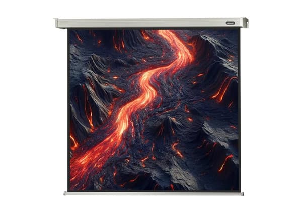 celexon motordriven projektorduk Professional 220 x 220 cm Svart, Vit