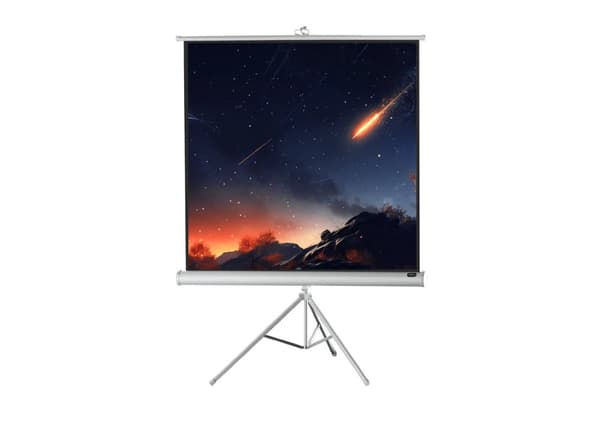 celexon stativbunden projektorduk Economy 184 x 184 cm - white