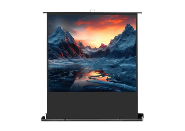 celexon ultramobil projektorduk Professional Plus 200 x 150 cm Svart, Vit
