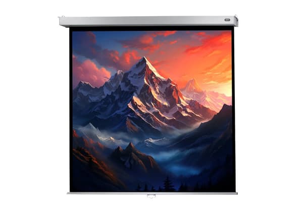 celexon manuell projektorduk Professional Plus 160 x 160 cm, 89"