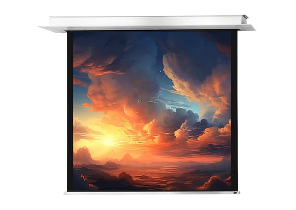 celexon motordriven takinfälld projektorduk Professional Plus 220 x 220 cm Svart, Vit