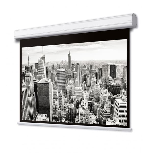 DELUXX Professional Motorduk 16:10 Matt white Vision Pro 305 x 191 cm