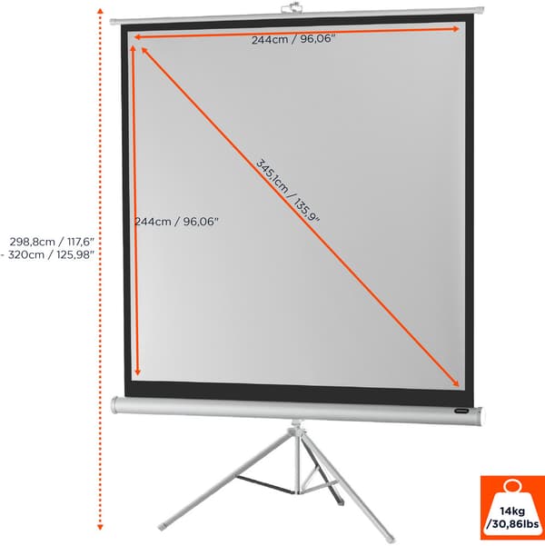 celexon stativbunden projektorduk Economy 244 x 244 cm - White Edition