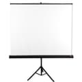 Miniatyrbild 1 av 2: Projektionsduk Avtek Tripod Standart 175