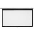 Miniatyrbild 1 av 2: Projektionsduk Optoma DS-9120MGA 120"