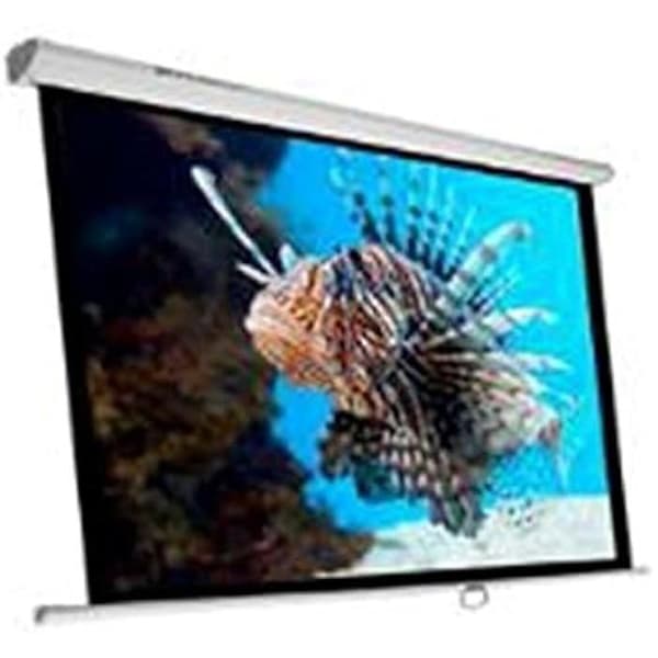 Projektionsduk - PHOENIX TECHNOLOGIES - PHPANTALLA-240 - 135 tum - Förhållande 1:1 - Slitstarkt tyg