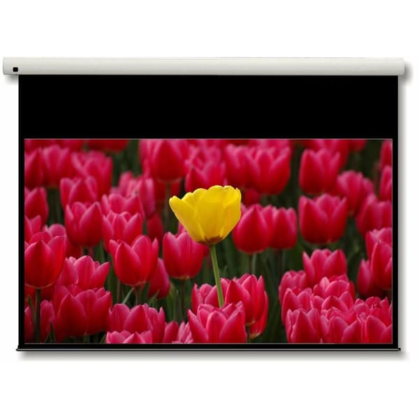 Projektionsduk Optoma DE-9092EGA 92" Vit