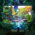 Miniatyrbillede 3 af 4: Projektor lærred, 4K opløsning, stabil stativ,100 tommer