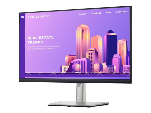Dell P2422H - LED-skärm - 24" (23,8" för visning) - 1920 x 1080 Full HD (1080p) @ 60 Hz - IPS - 250 cd/m² - 1000:1 - 5 ms - HDMI, VGA, DisplayPort -